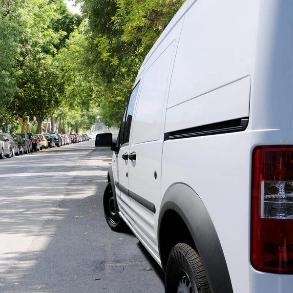 Purchase An Established Franchise